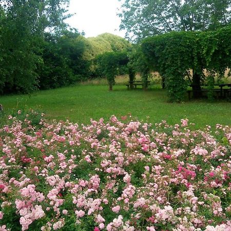 Agriturismo Il Magicorto Cassola Eksteriør billede