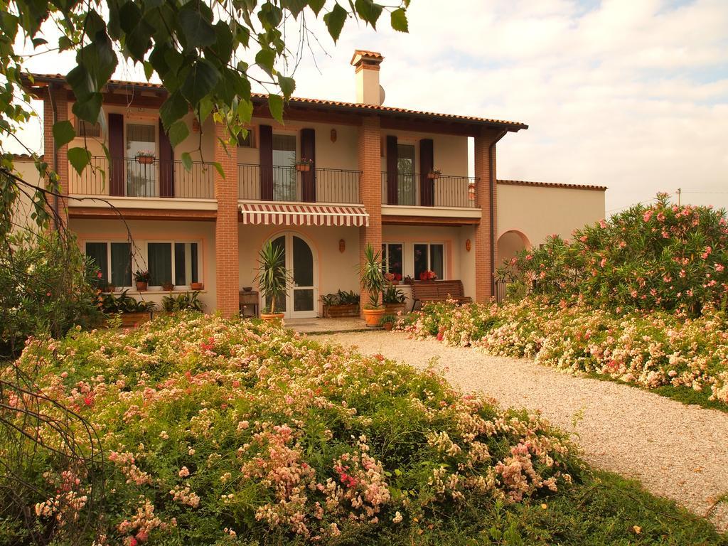 Agriturismo Il Magicorto Cassola Eksteriør billede