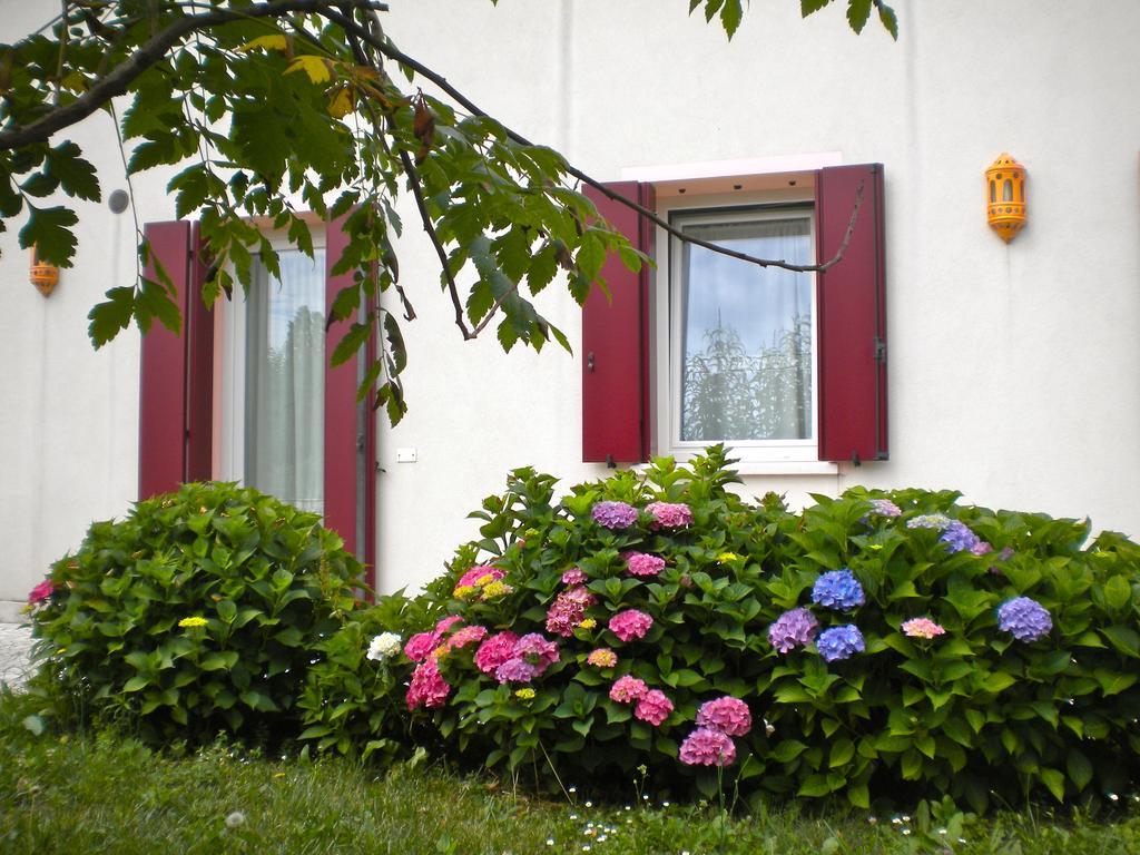 Agriturismo Il Magicorto Cassola Værelse billede
