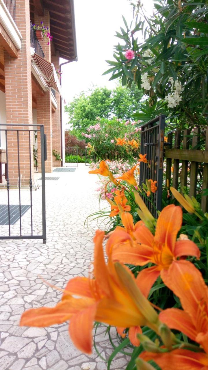 Agriturismo Il Magicorto Cassola Eksteriør billede