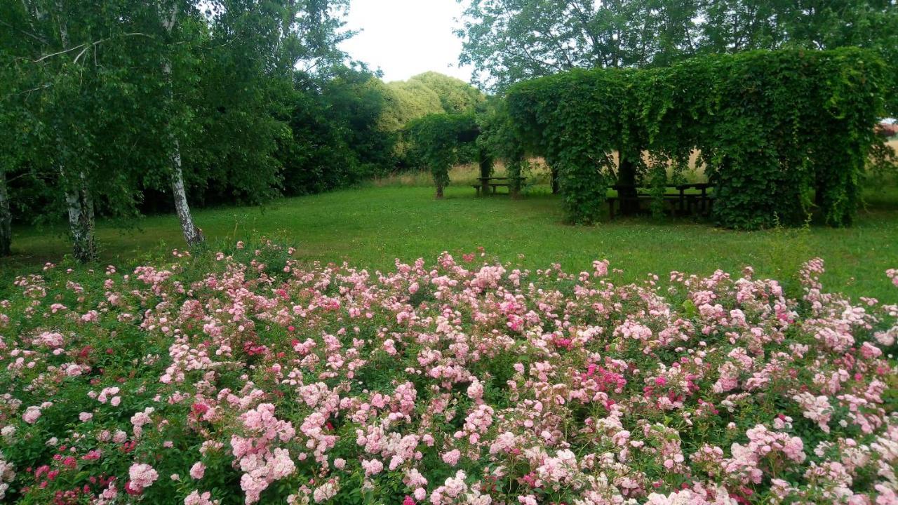 Agriturismo Il Magicorto Cassola Eksteriør billede