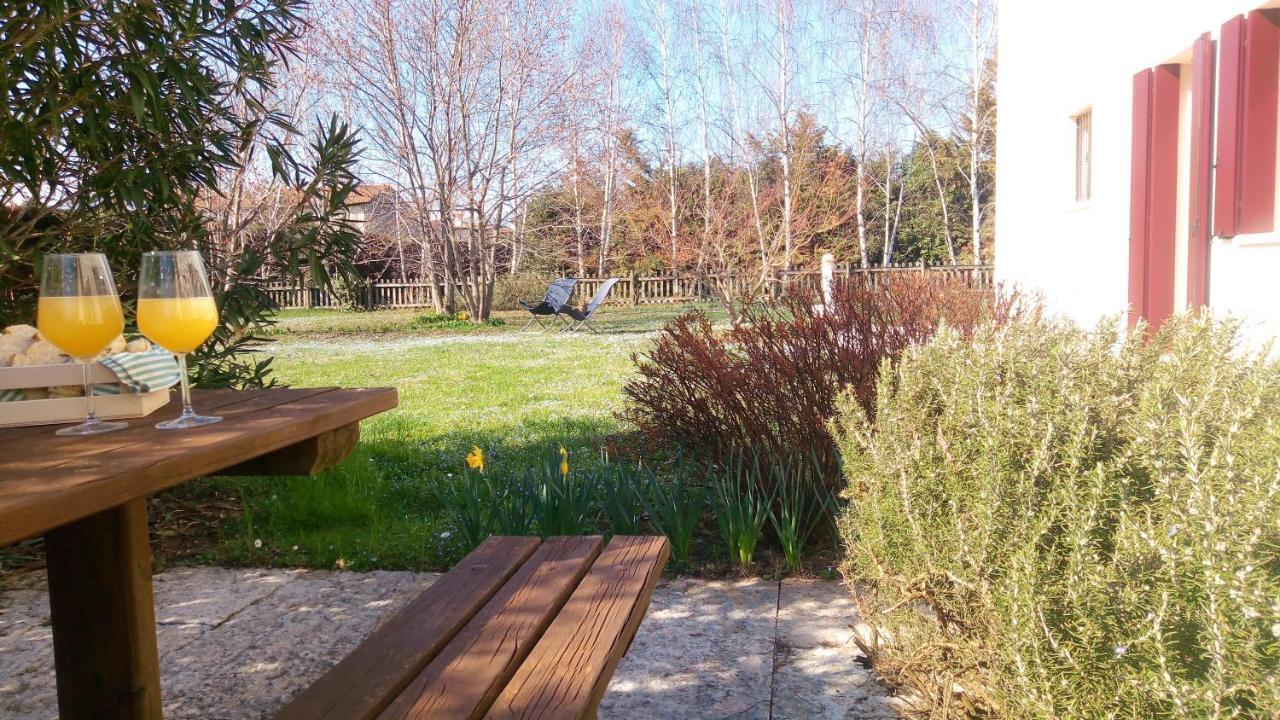 Agriturismo Il Magicorto Cassola Eksteriør billede