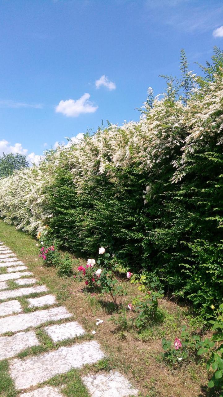 Agriturismo Il Magicorto Cassola Eksteriør billede