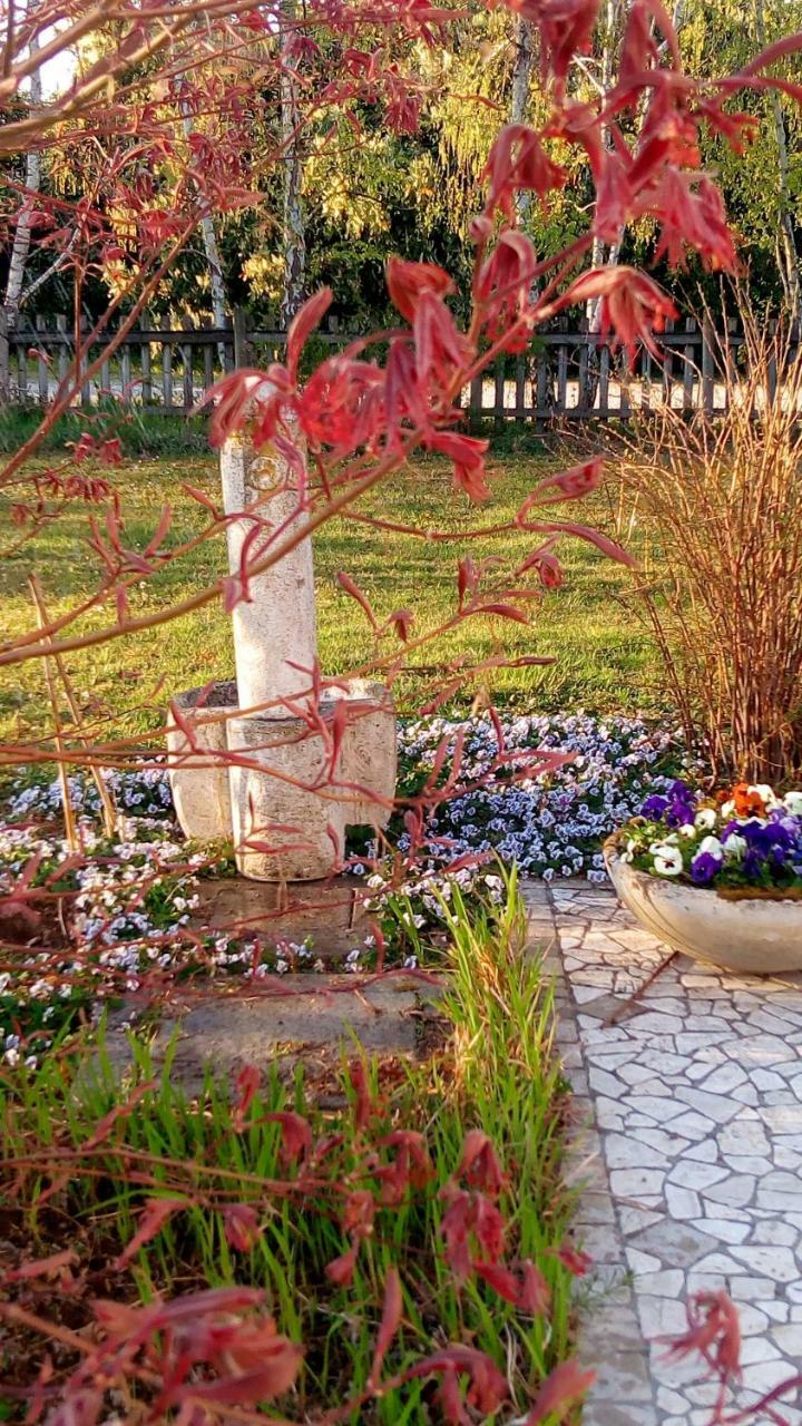 Agriturismo Il Magicorto Cassola Eksteriør billede
