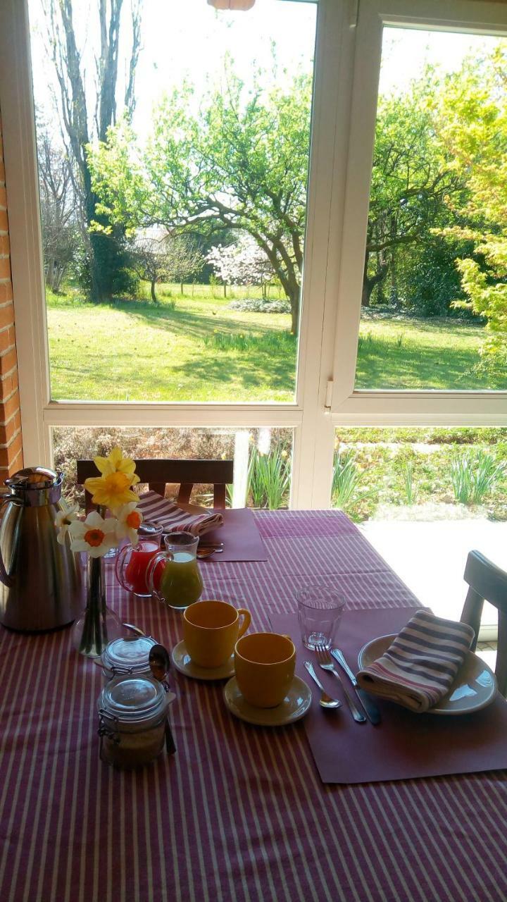 Agriturismo Il Magicorto Cassola Eksteriør billede